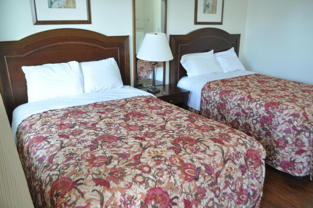 One-Bedroom Suite
