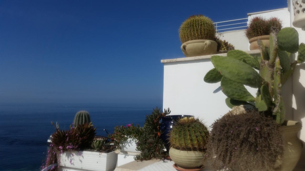 Quadruple Room Sea View
