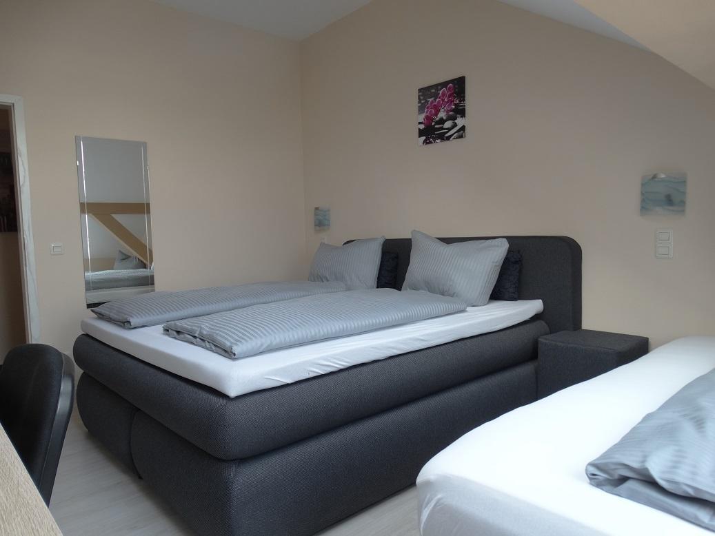 Budget Single Room,608866564:JPEG