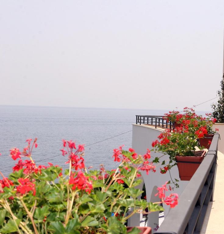 Superior Double or Twin Room Balcony Sea View,681407502:JPEG