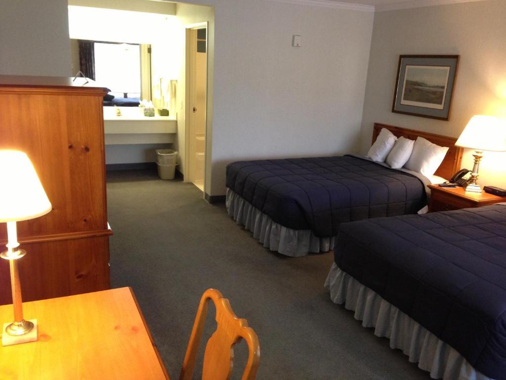 Premium Two Double Beds,62957593:JPEG