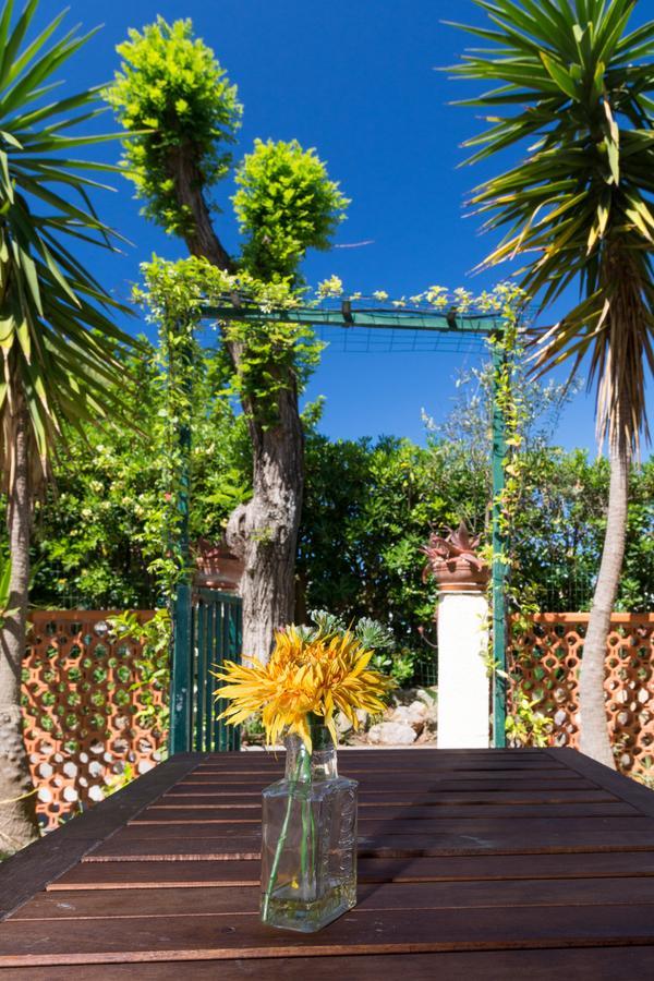 Studio Garden View,1347743138:JPEG