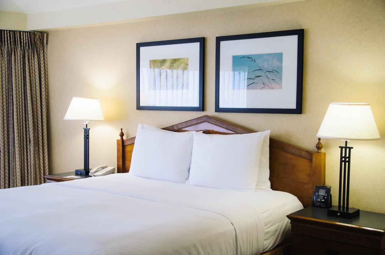 One-Bedroom Queen Suite
