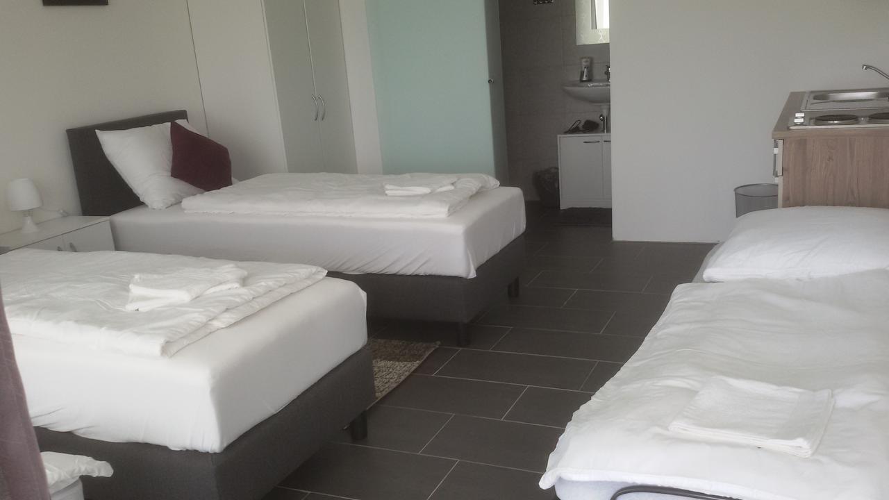 Large Double or Twin Room
