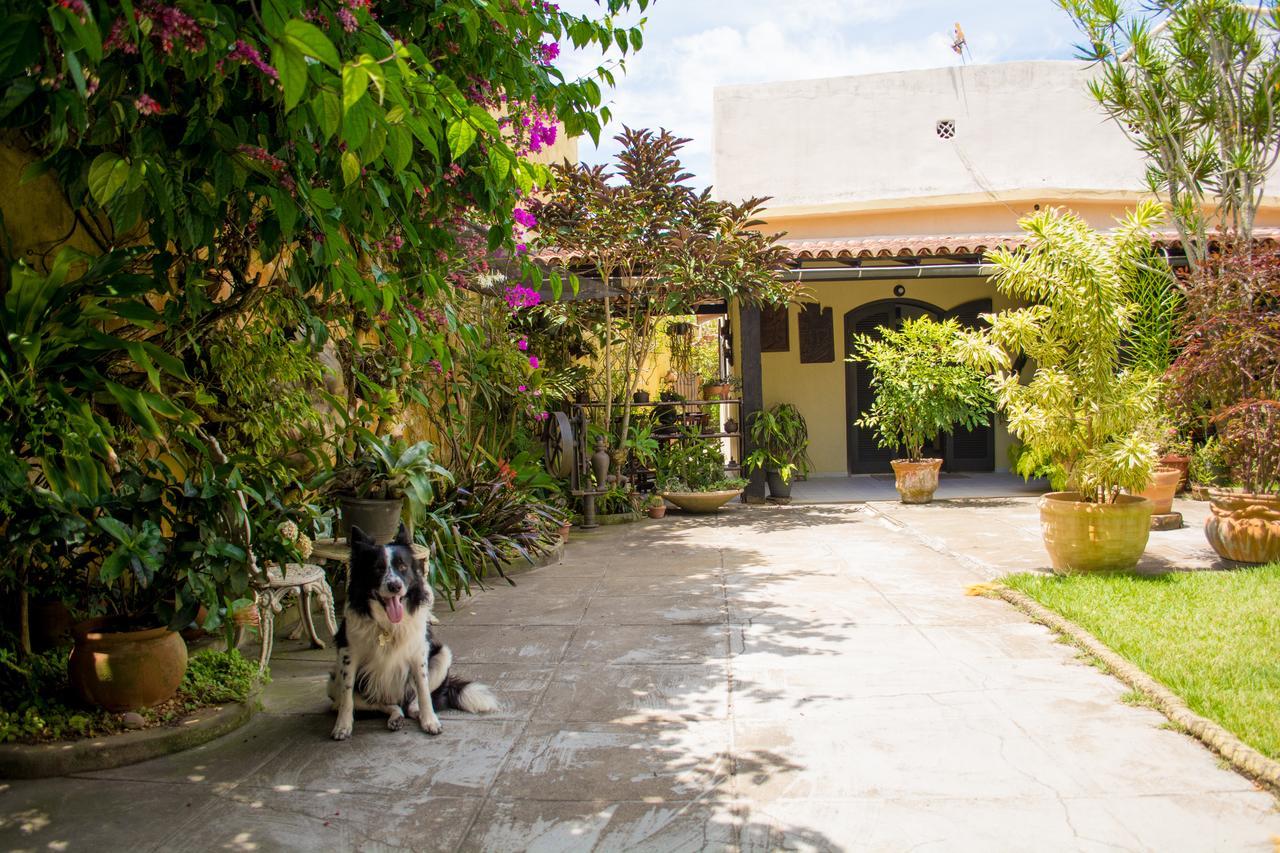 Suíte com Vista do Jardim