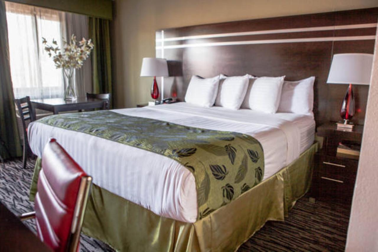 Standard King Room
