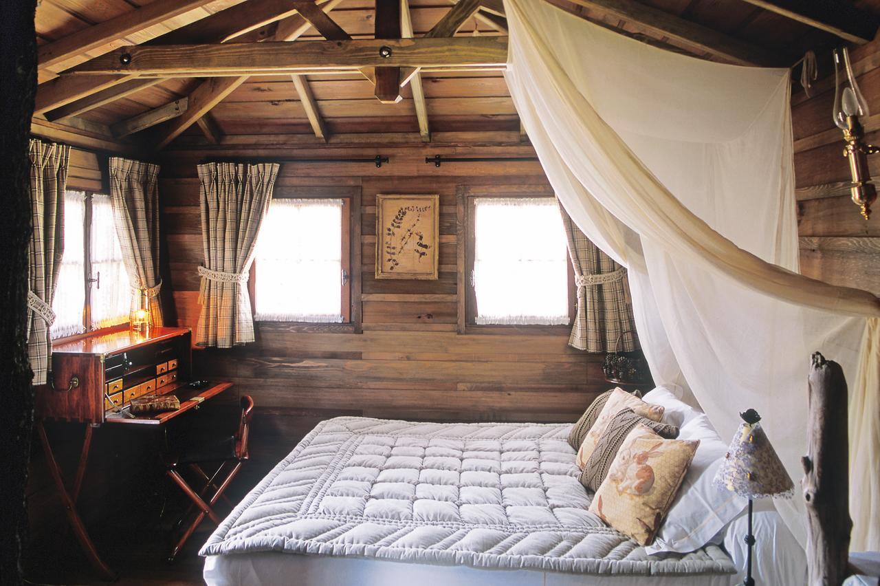 Tree House,643464087:JPEG