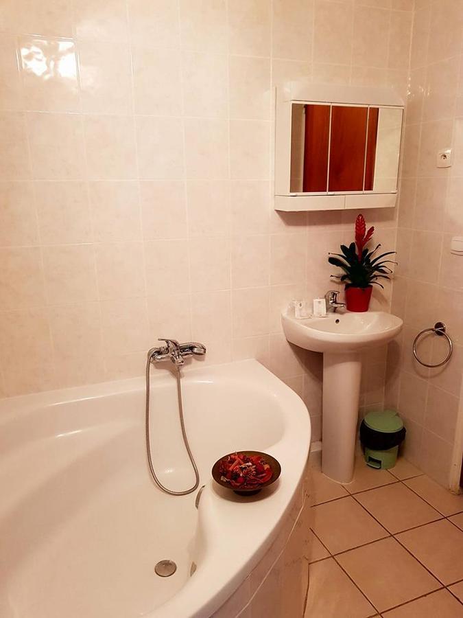 Appartement Supérieur 1 Chambre