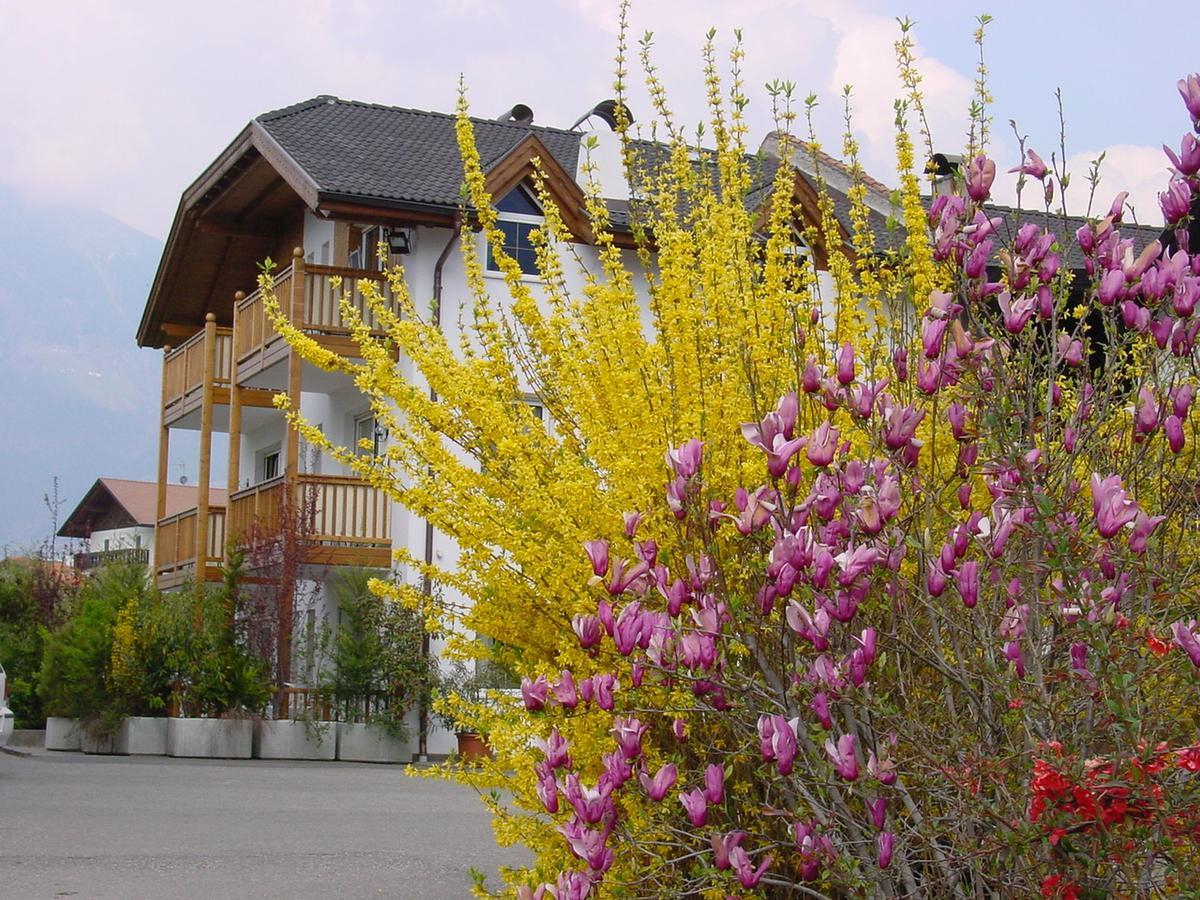One-Bedroom Apartment Balcony or Terrace