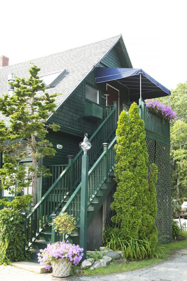 Ocean Bluff