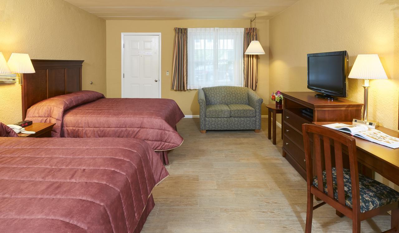 Standard Double Room,657775908:JPEG
