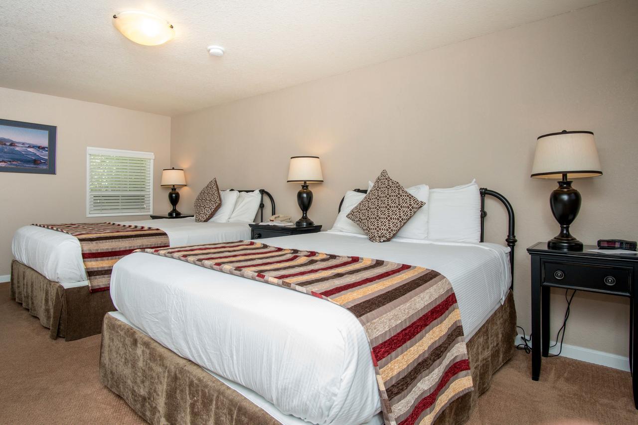 Double Economy Room #12 non-pet-friendly