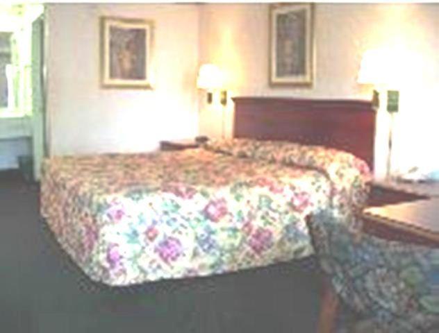 King Room - Non-Smoking