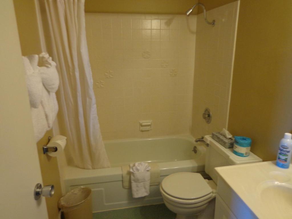 One-Bedroom King Suite