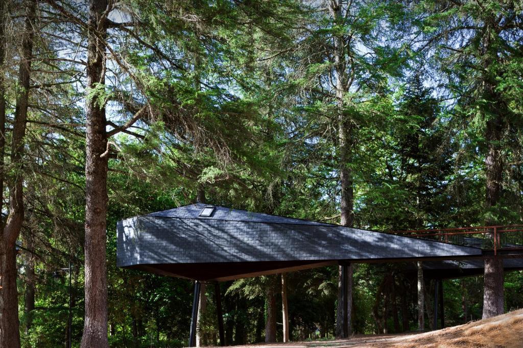 Tree House,1227046061:JPEG