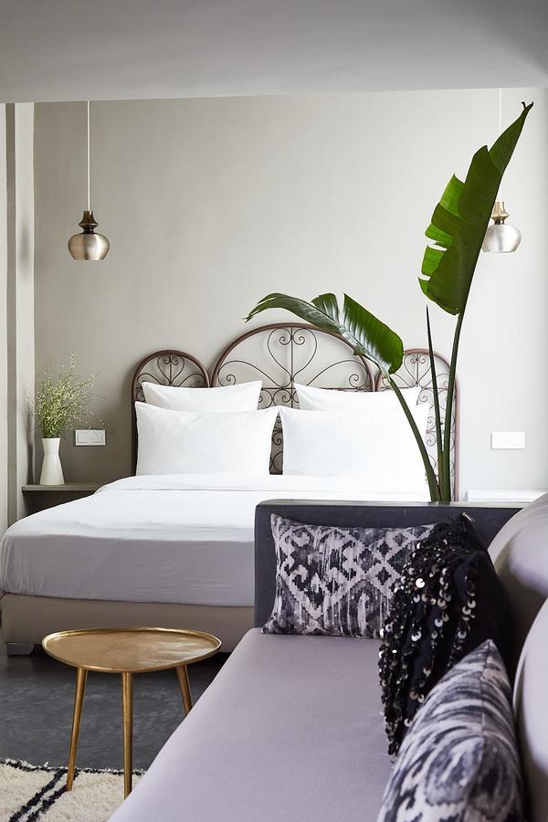Suite Terrace