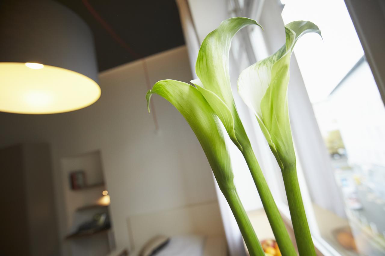 Apartment S