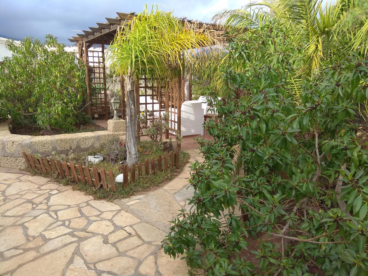 Studio Terrace