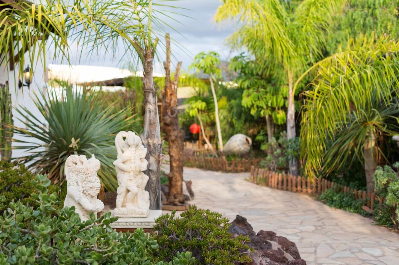 Studio Terrace