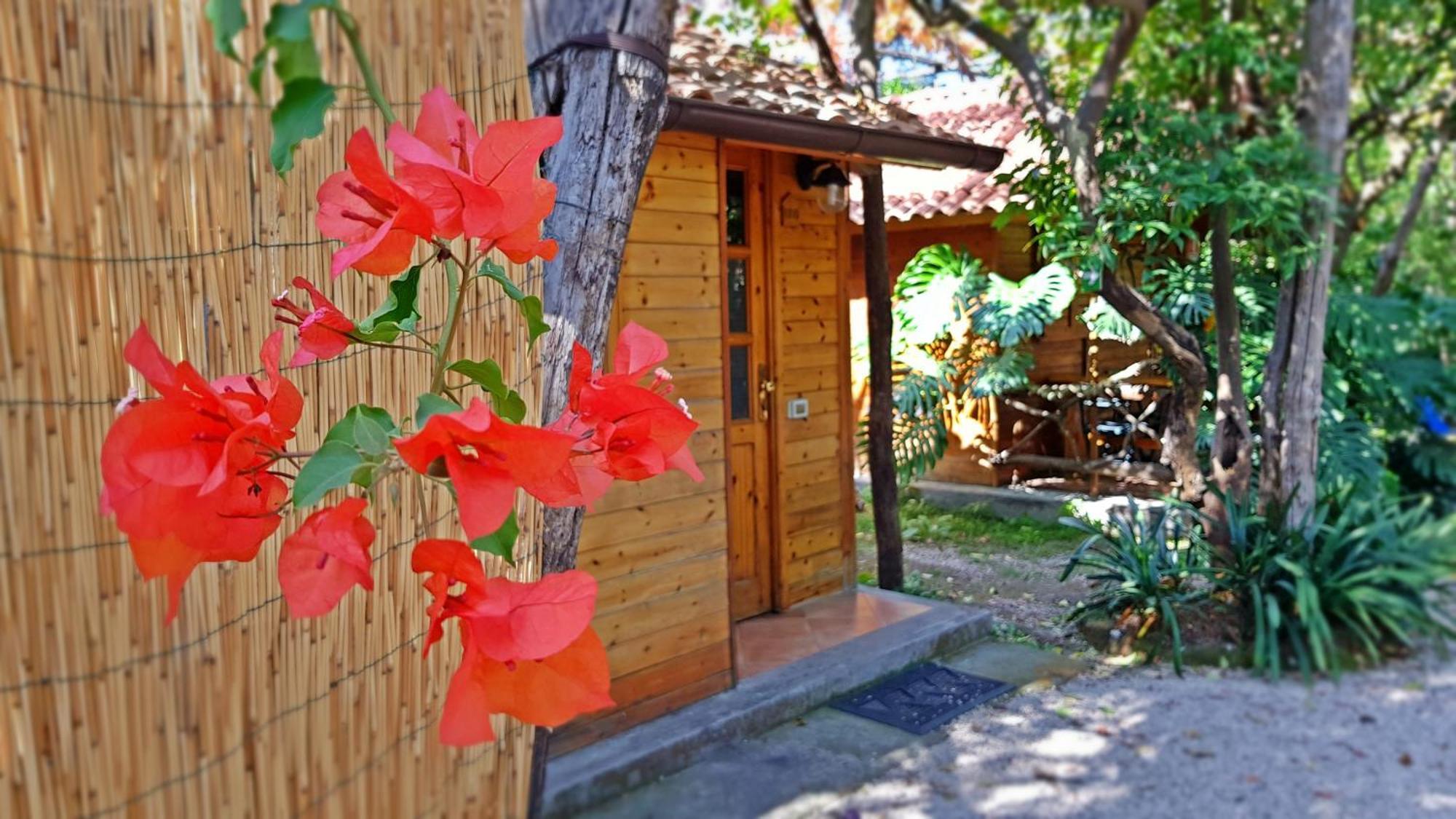 Economy Bungalow