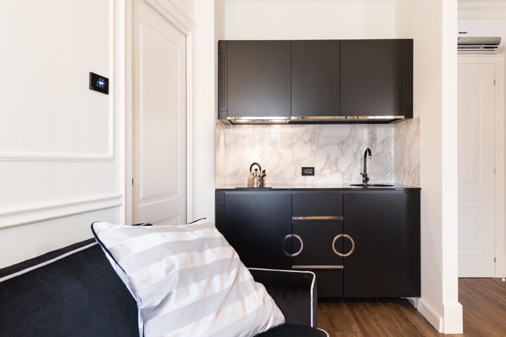 Deluxe One-Bedroom Apartment