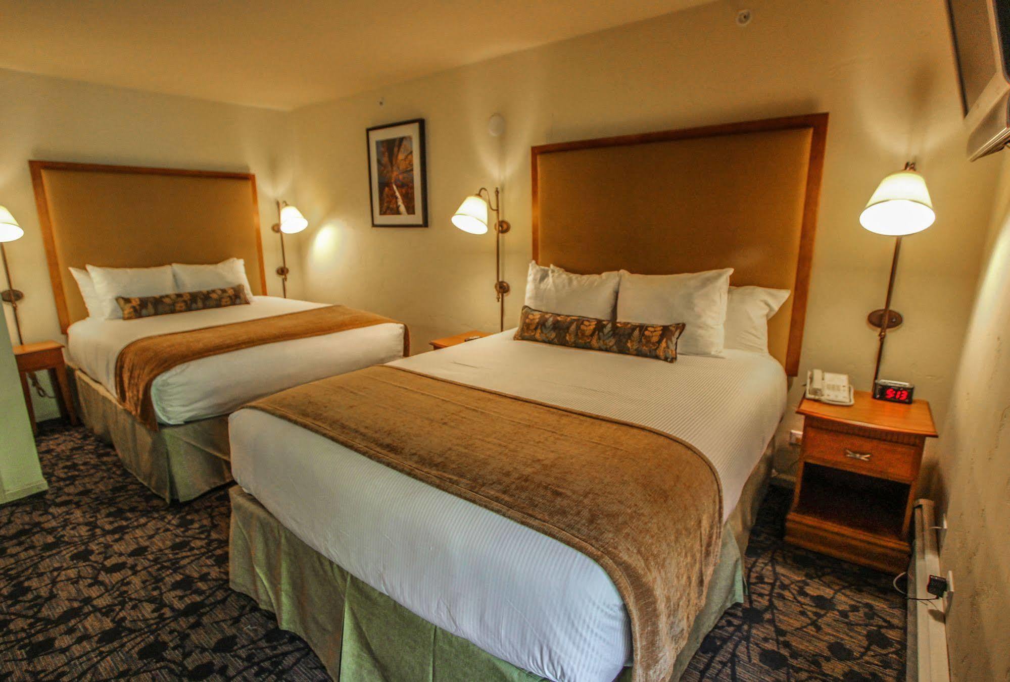 Standard Double Room,1175934085:JPEG