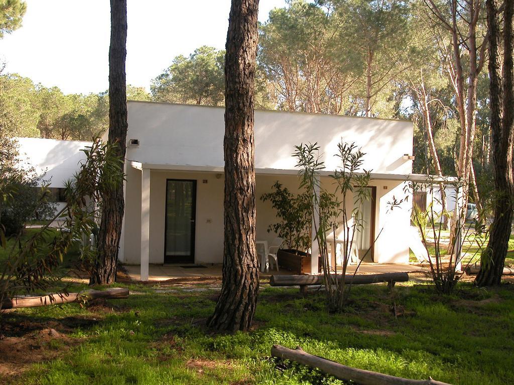 One-Bedroom Bungalow,69111014:JPEG