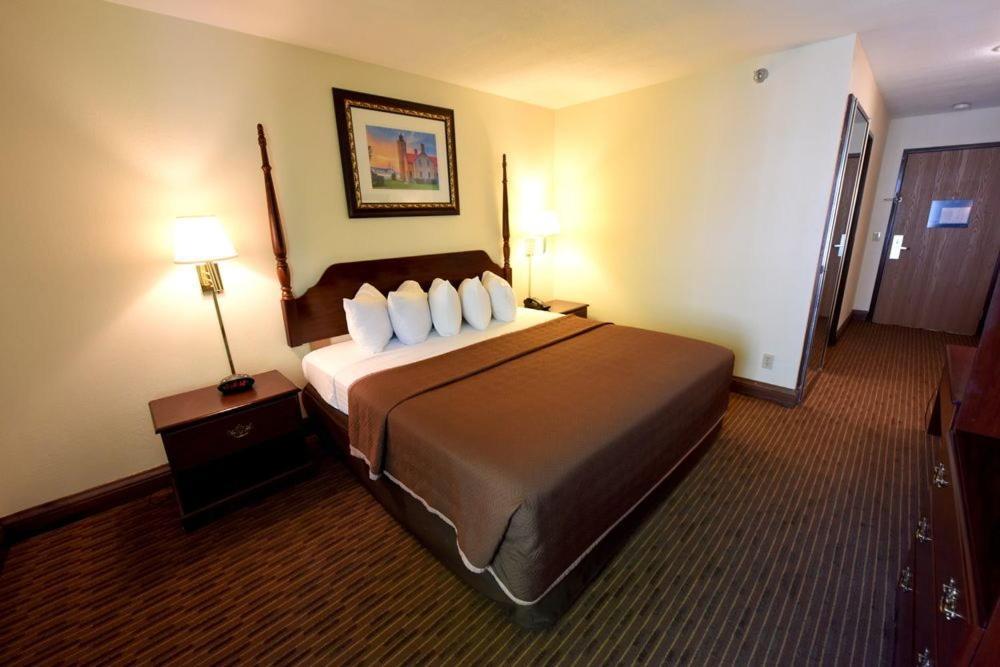 Single Room Disability Access,692525166:JPEG