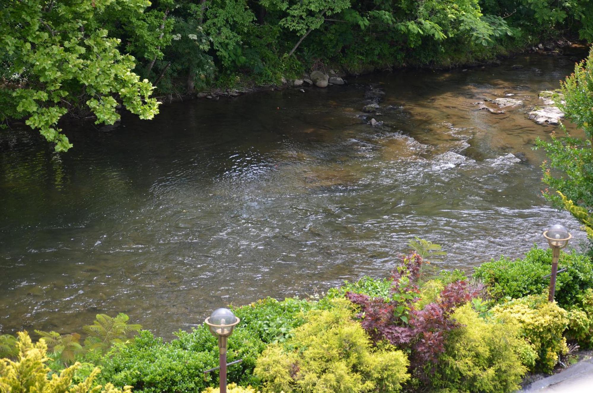 King Room River View