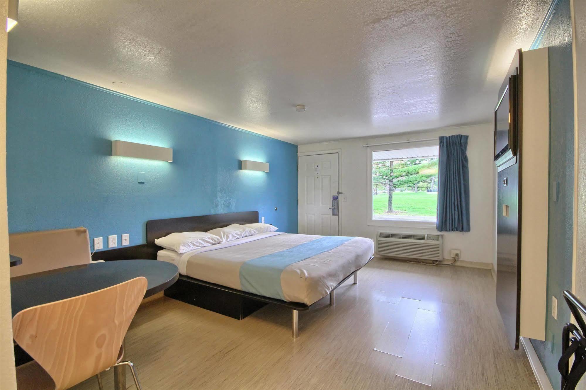 King Room Roll Shower Disability Access
