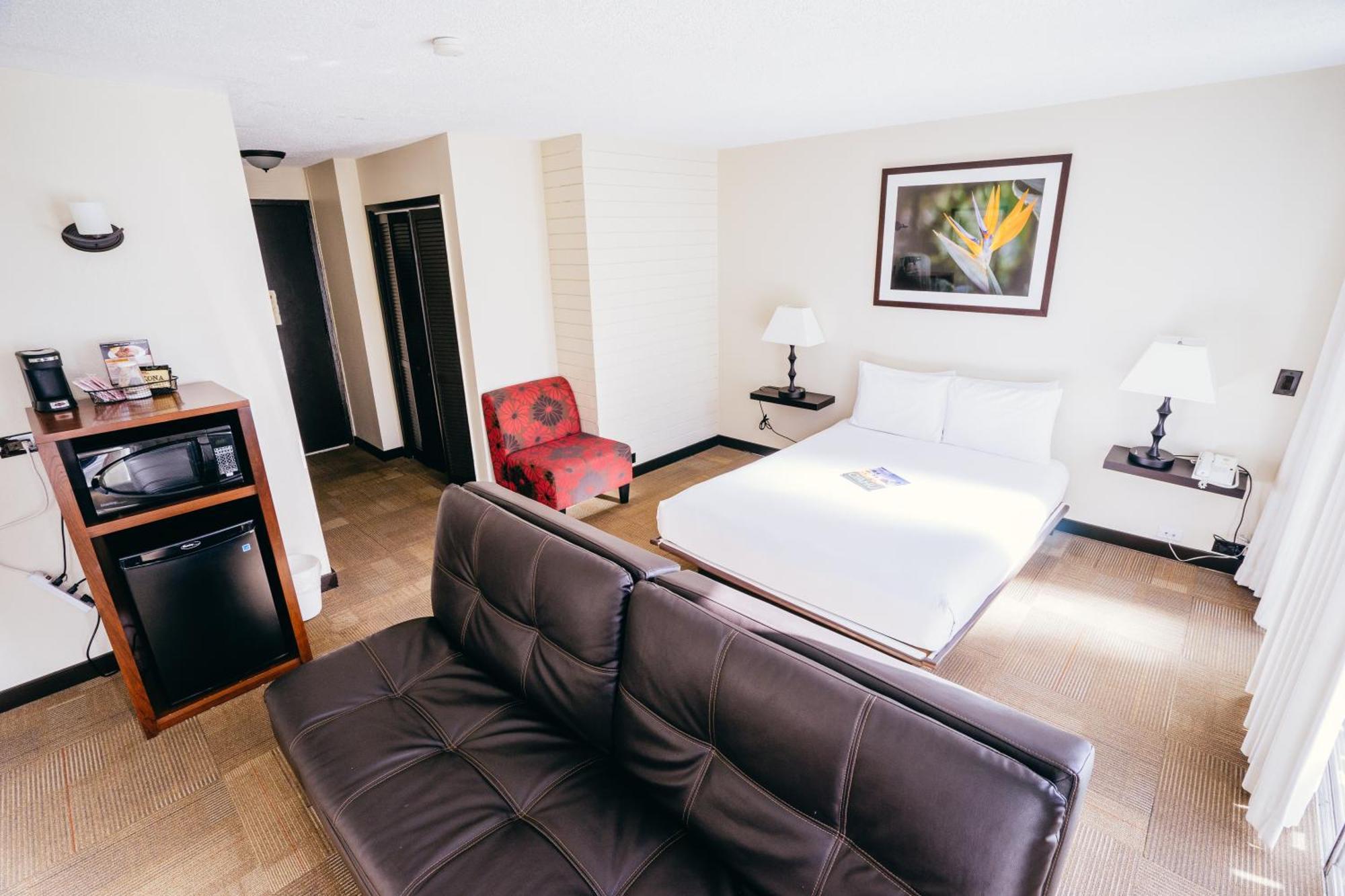 Queen Room Sofa Bed