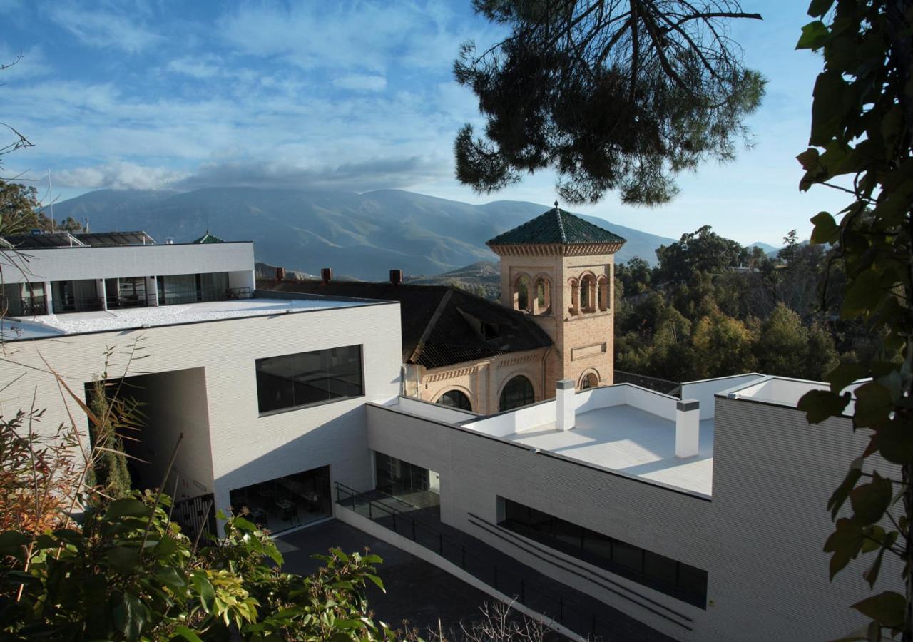 Suite Terrace,799576425:JPEG
