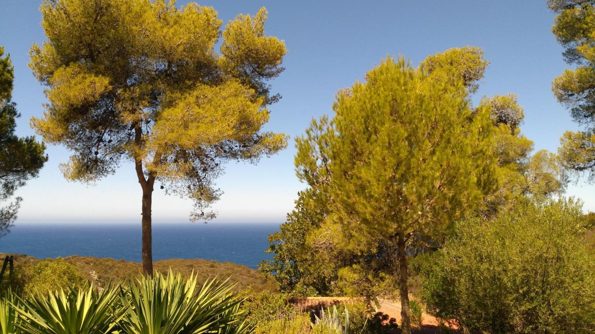 Quadruple Room Terrace Sea View