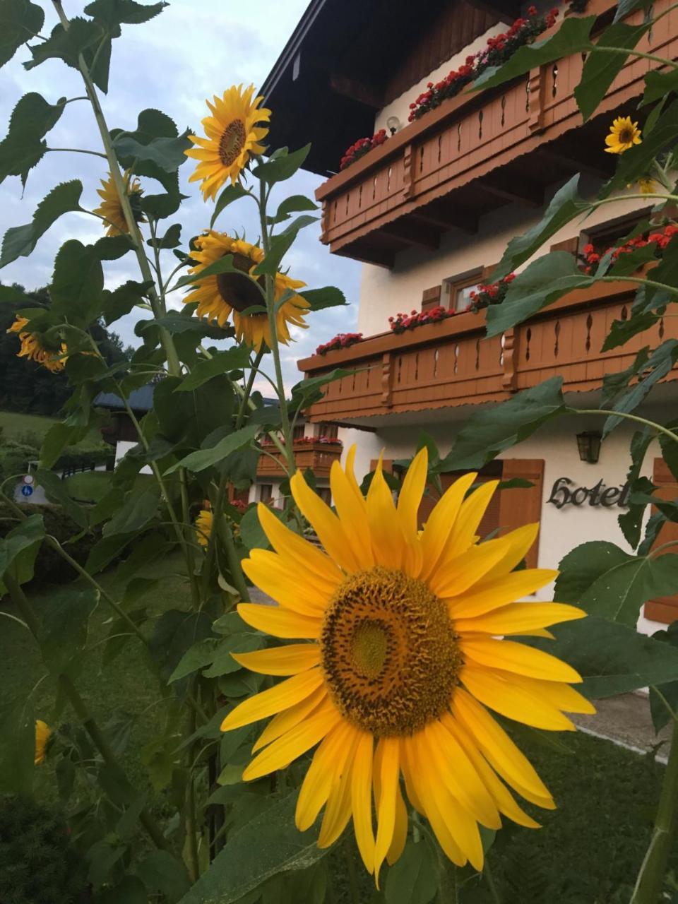 Double Room Balcony,965506315:JPEG