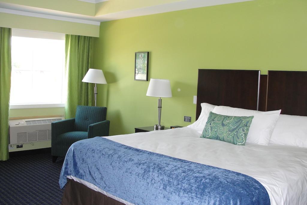 Standard King Room