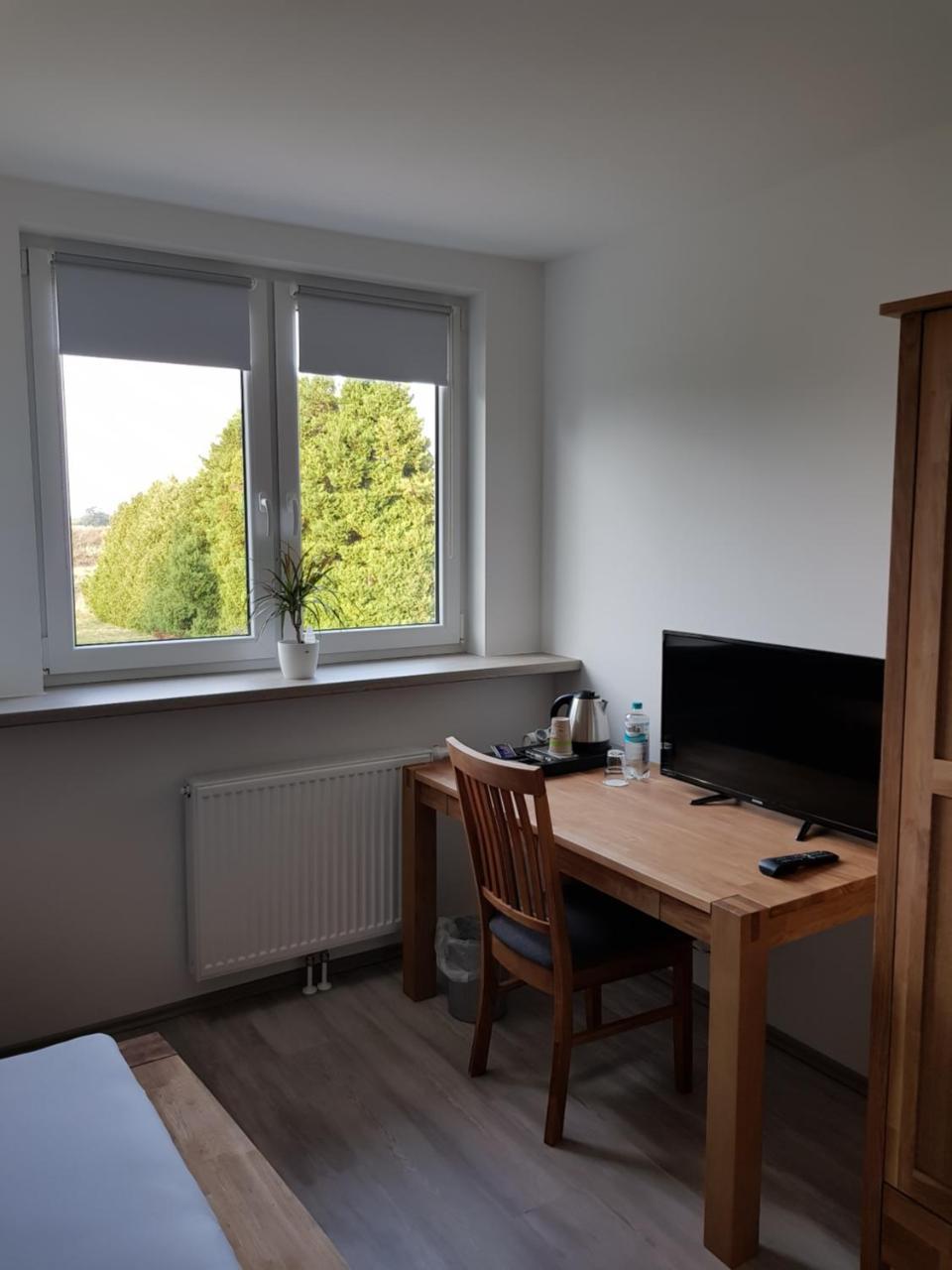 Double Room with Terrace,946460398:JPEG