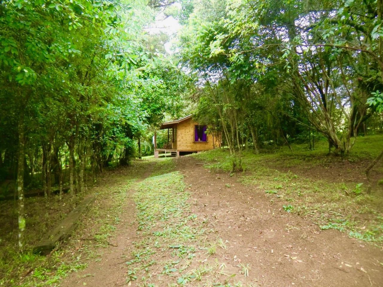 One-Bedroom Chalet,977908531:JPEG
