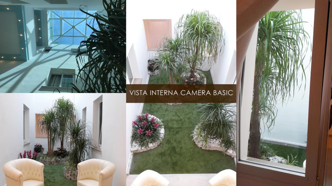 Basic Room indoor winter garden view