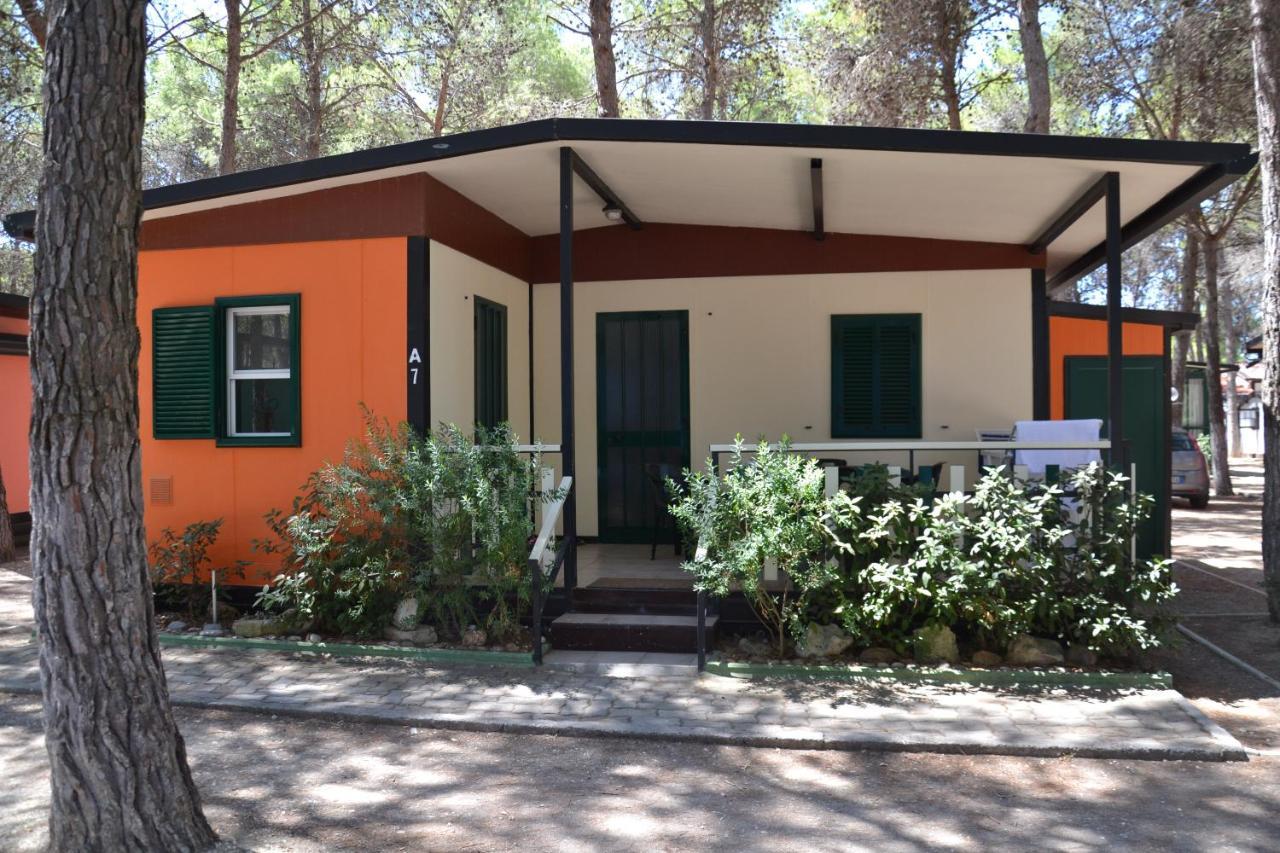 Standard Bungalow,817642616:JPEG