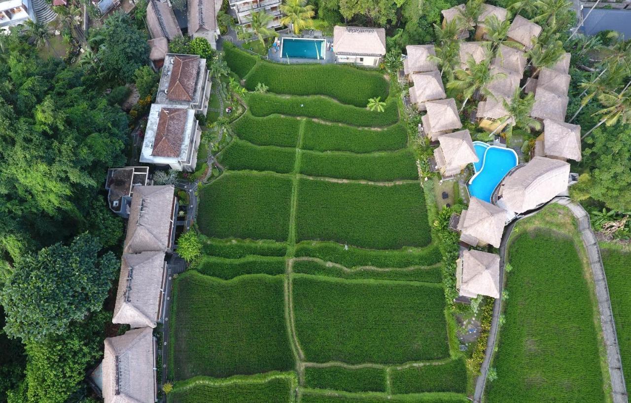 One-Bedroom Bamboo House Garden View
