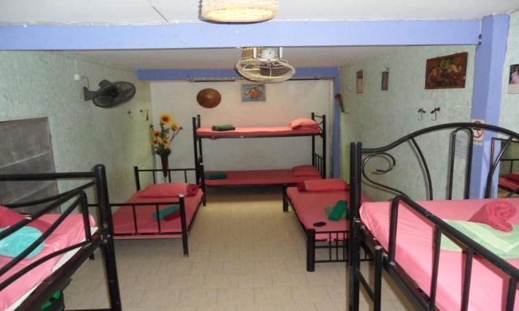Bed 8-Bed Mixed Dormitory Room,789579576:JPEG