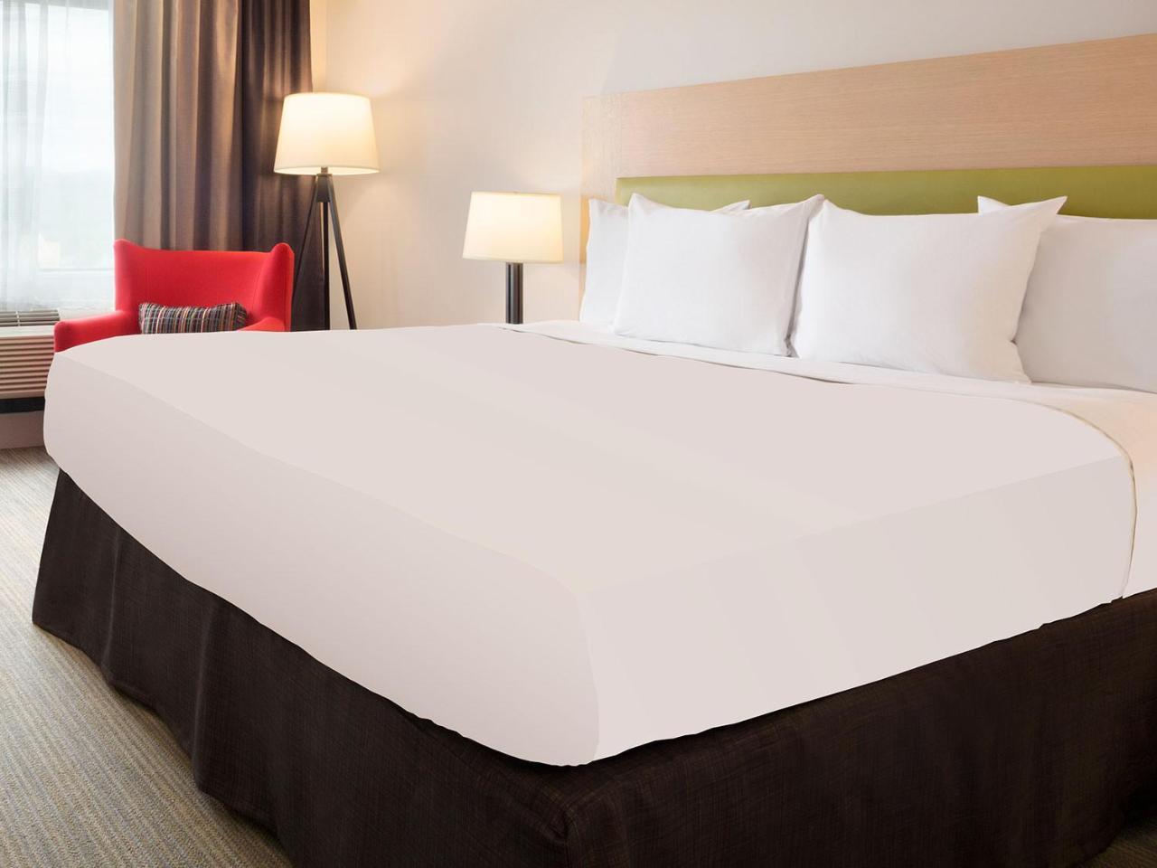 One-Bedroom King Suite