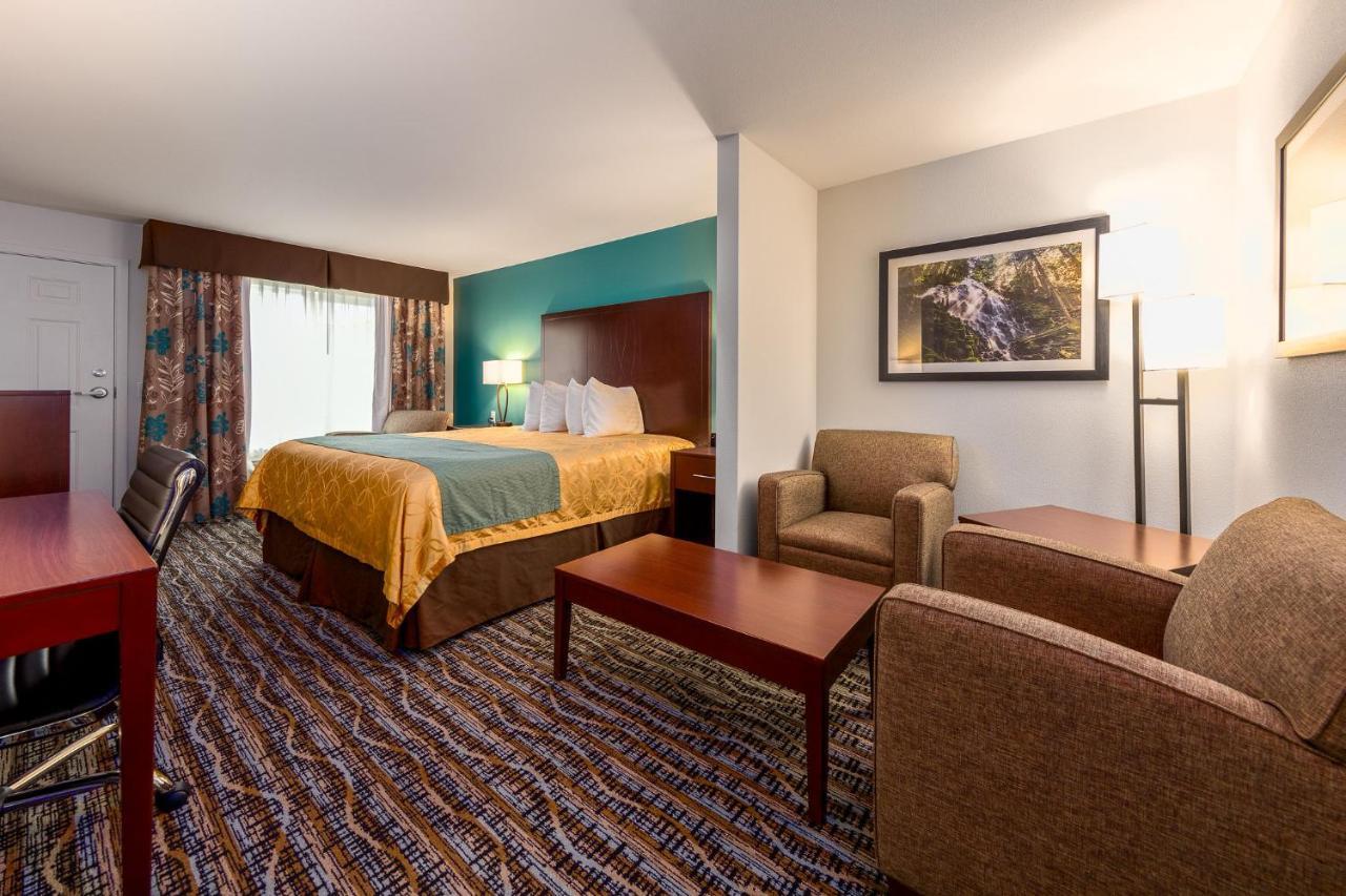 King Suite Not Pet Friendly