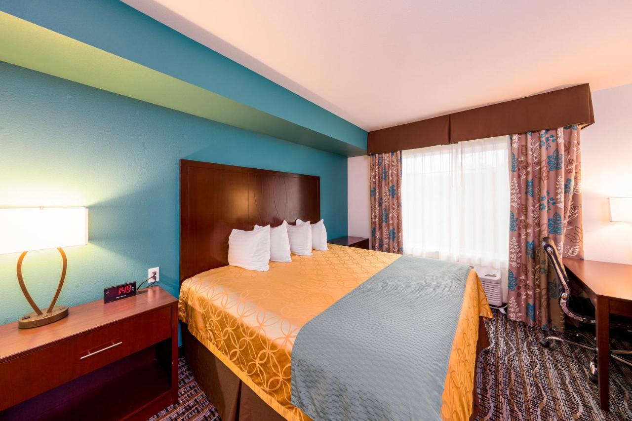 King Room Not Pet Friendly