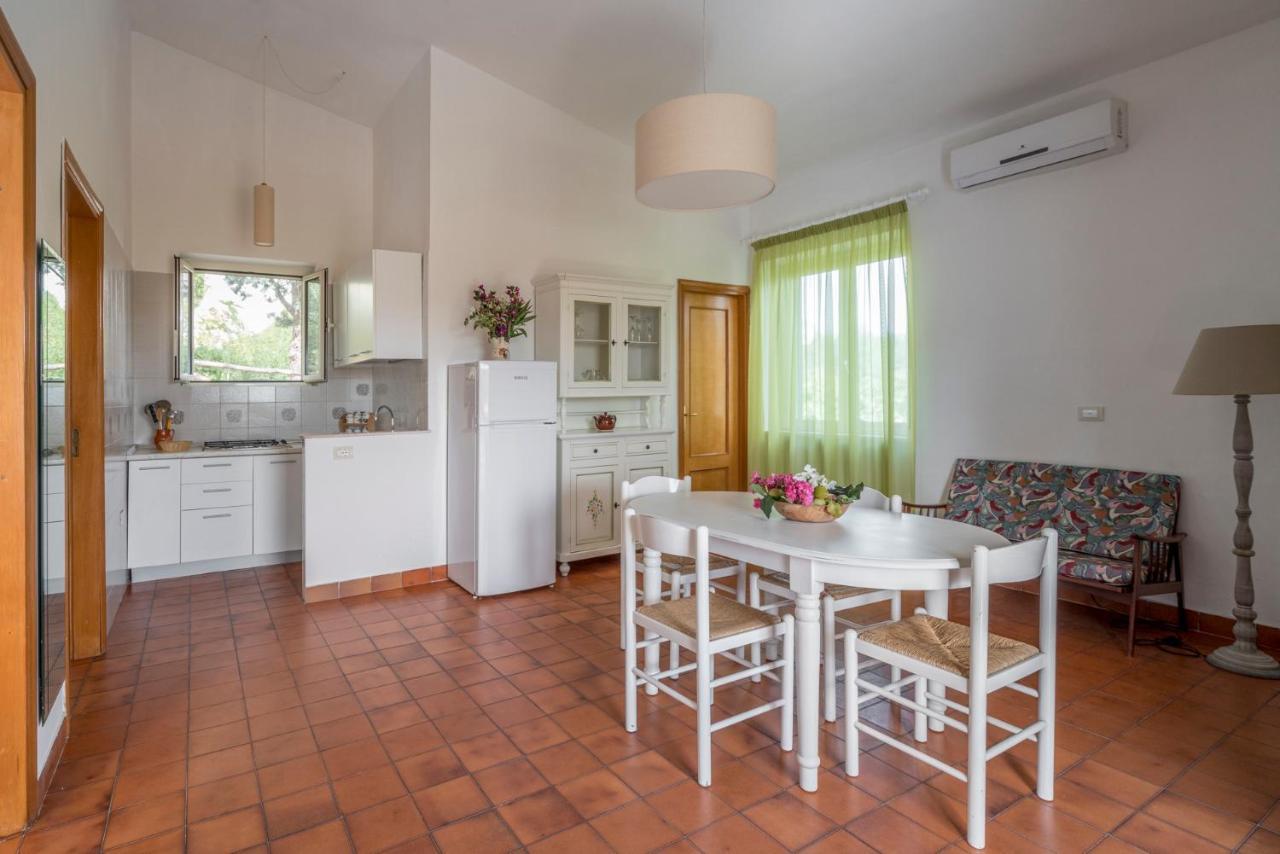 Two-Bedroom Apartment Terrace