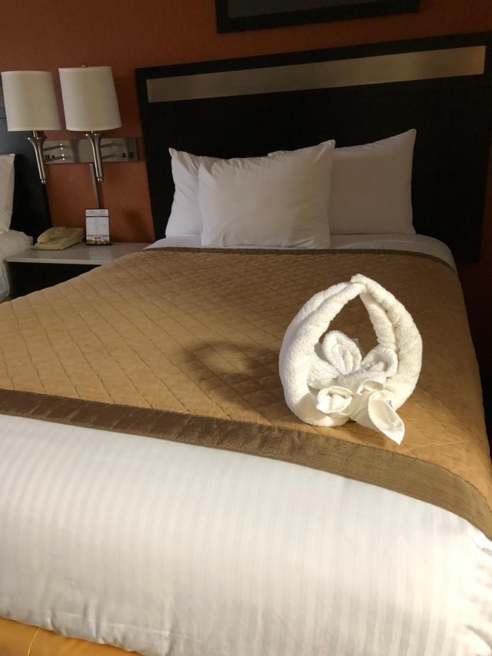 King Room - Disability Access/Non-Smoking