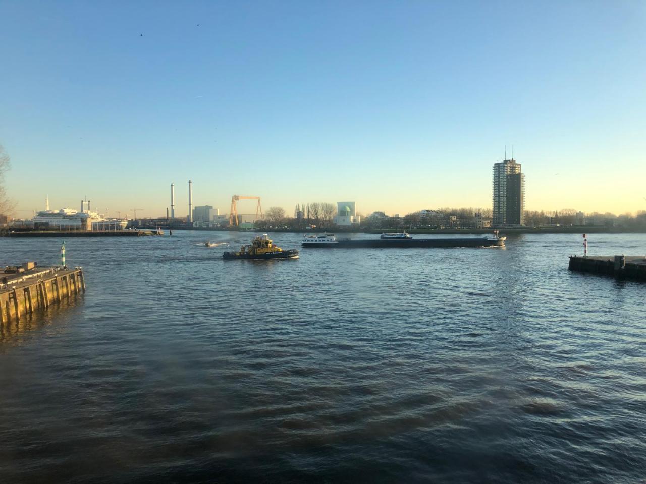Suite Sea View,766781356:JPEG