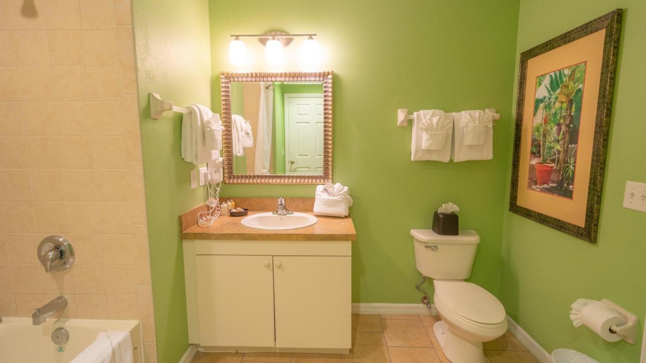 One Bedroom Condo Sofa Bed Full Kitchen