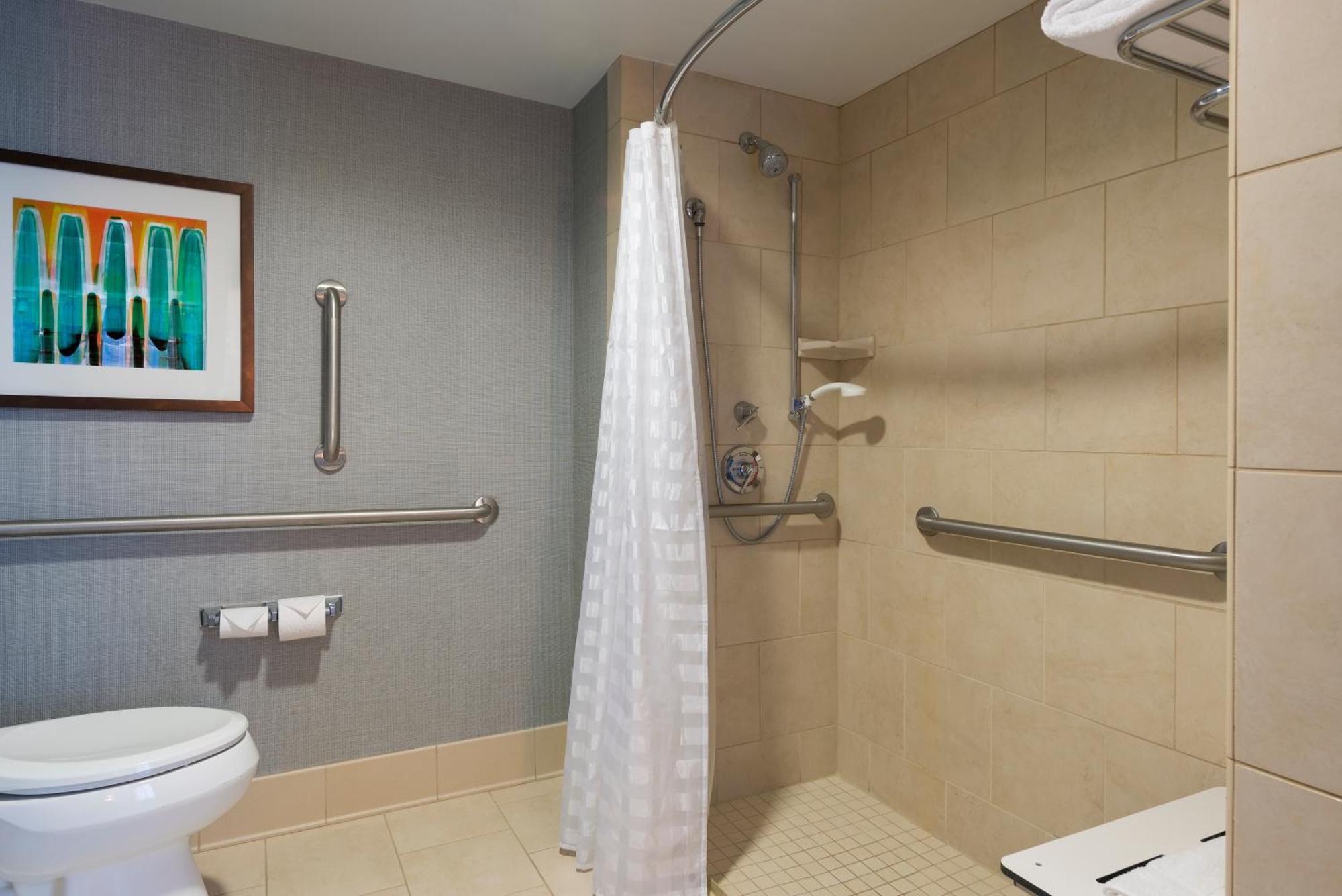 King Room Sofa Bed Accessible Tub Disability Access