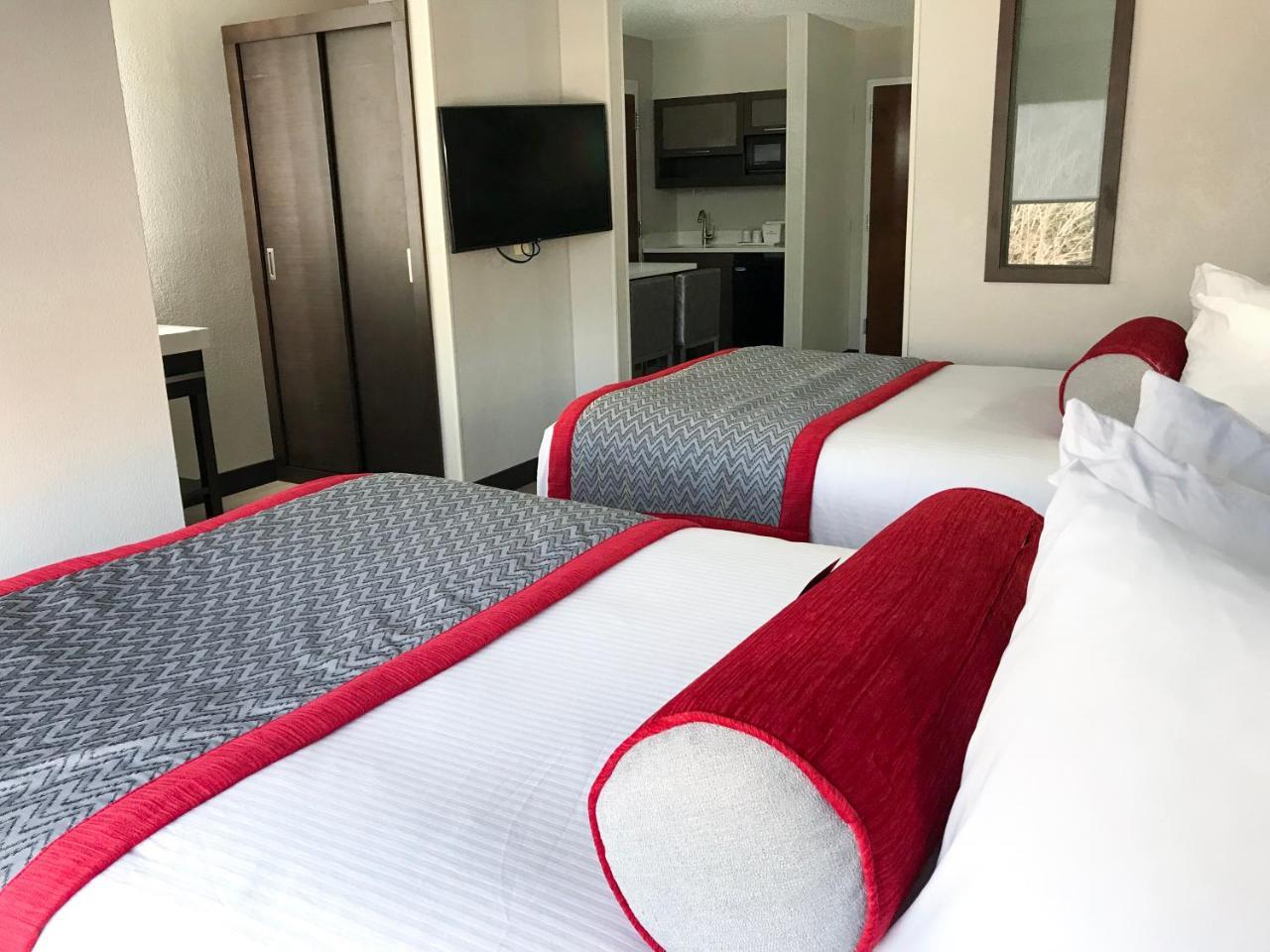 Studio Suite Two Double Beds Non-Smoking